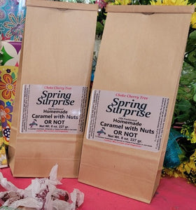 Spring Surprise Caramel Bag